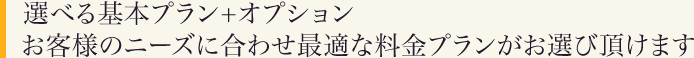 選べる基本プラン+オプション お客様のニーズに合わせ最適な料金プランがお選びいただけます